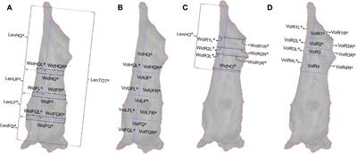 Machine learning algorithms for the prediction of EUROP classification grade and carcass weight, using 3-dimensional measurements of beef carcasses
